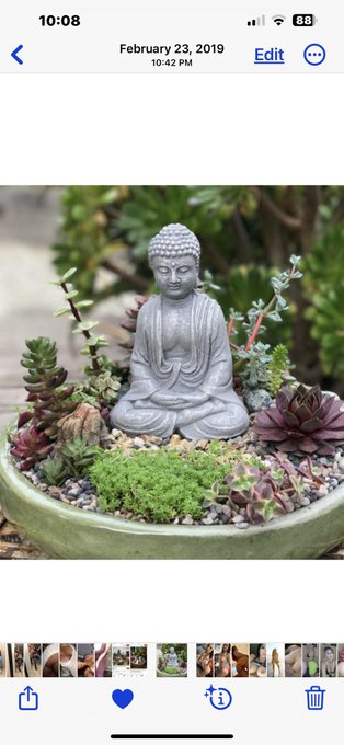 I took the first picture a year before I bought my first house, I just loved the statue&hellip; the second photo<a href="/tag/boycottstarbucks"class="tags"><span>#boycottstarbucks</span></a><a href="/tag/redcupday"class="tags"><span>#redcupday</span></a>