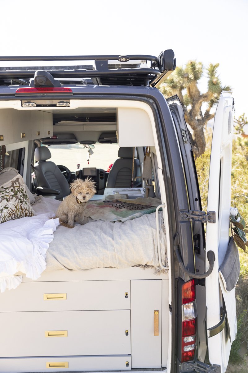 How are you spending your Sunday? Take some time today to communicate with the ones you love. 
🐕🚎🤎
#books #vanlife #travel #writingcommunity #dogs