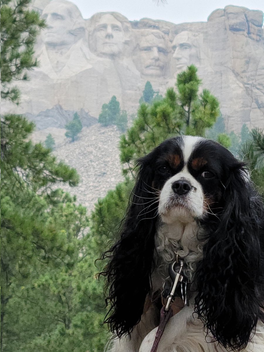 Jim Phillips tweet media