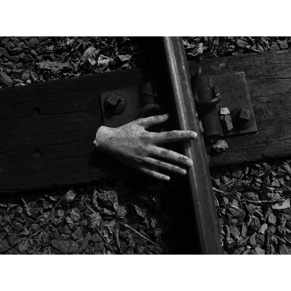 GPhotos23's tweet photo. A set of photos from my current project, "The Dark Mind"

I've been exploring the horror side of photography with photographing fake  body parts to create creepy and dark photos.

#canonphotography
#stilllifephotography
#monocromephotography #horror #horrorphotography https://t.co/0tfYyJbtvL