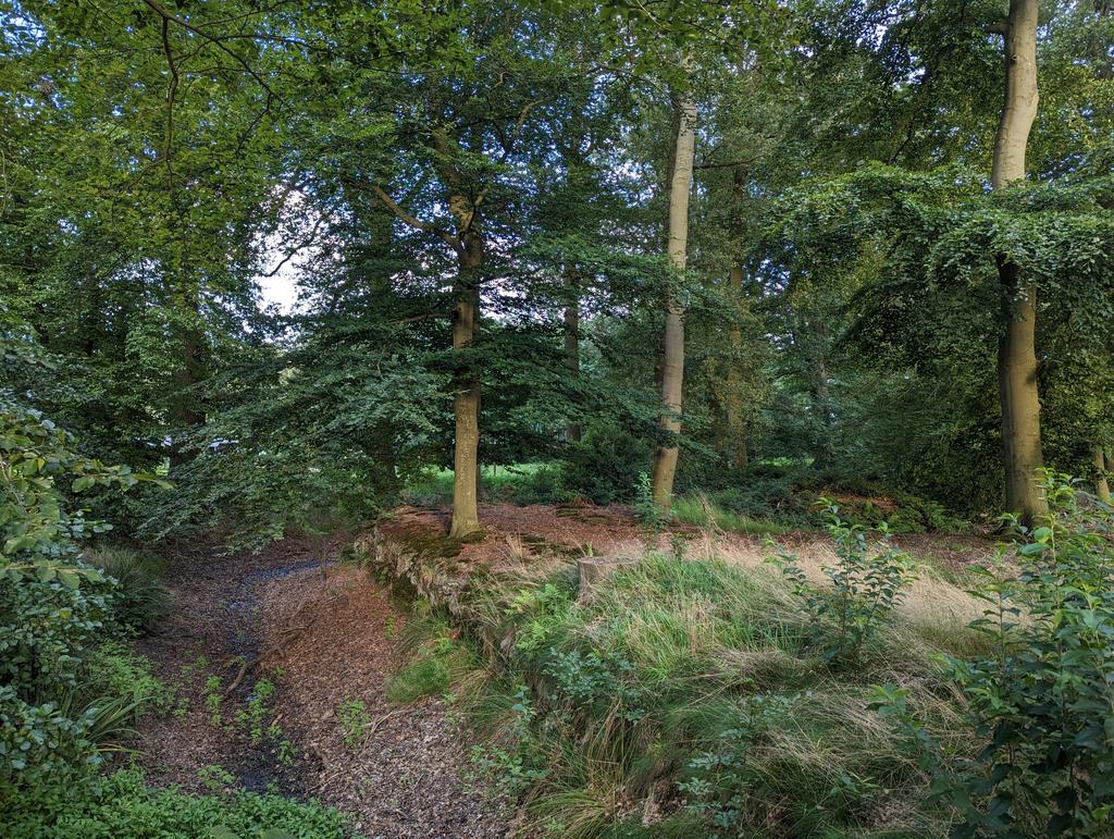 ZinvolReizen's tweet photo. Het kasteel Grimberg bestaat niet meer maar de gracht en oude beuken die daar staan zijn nog stille getuigen...
#Notter #Grimberg #Overijssel https://t.co/FWJWBhEr4k