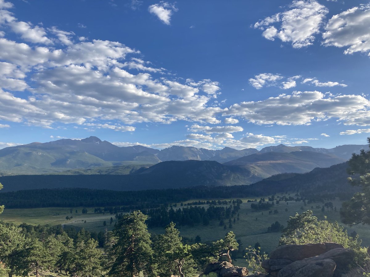 Dana Fager tweet media