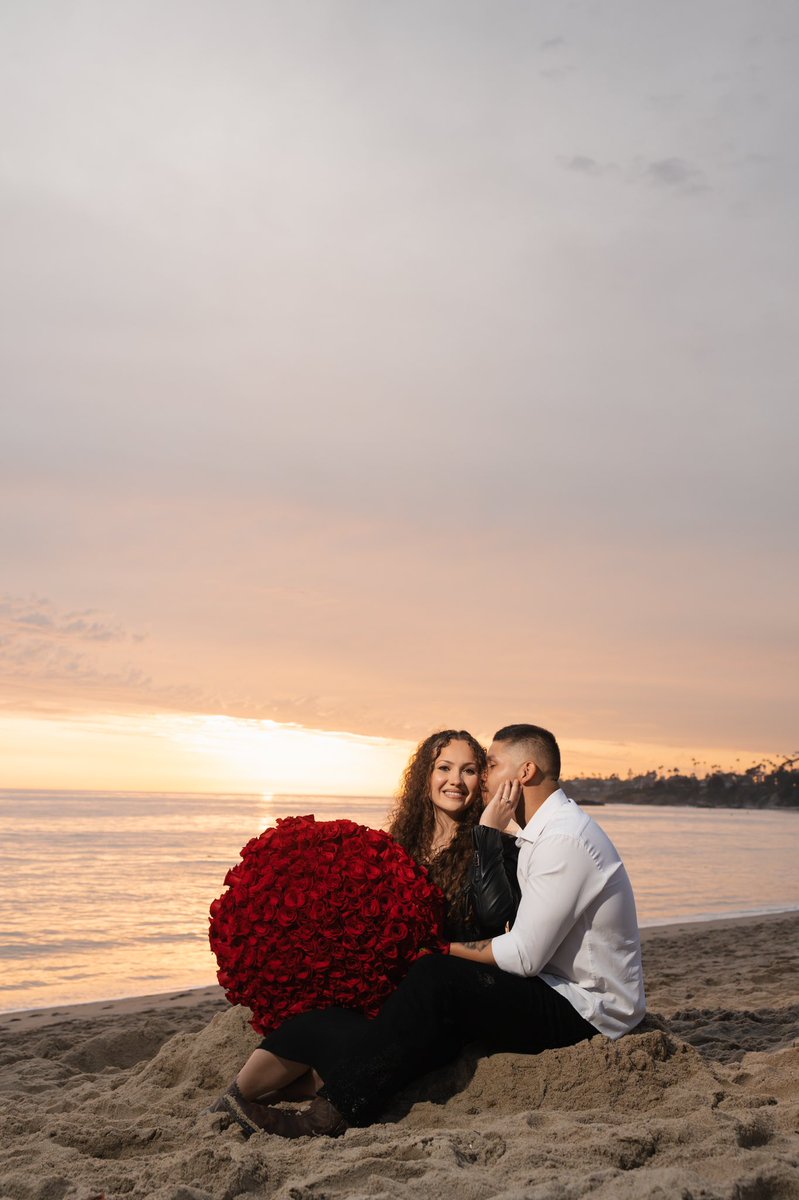 IvanFlowersPhotography tweet media