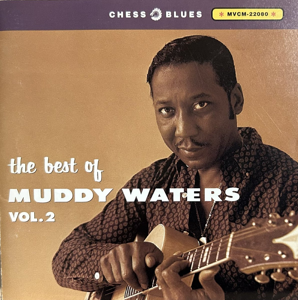 今日の1曲！
Muddy Walters. 
Don't Go No Further,
youtube.com/watch?v=jY1m0M…
#blues
#chicagoblues
#chessrecords
#muddywaters