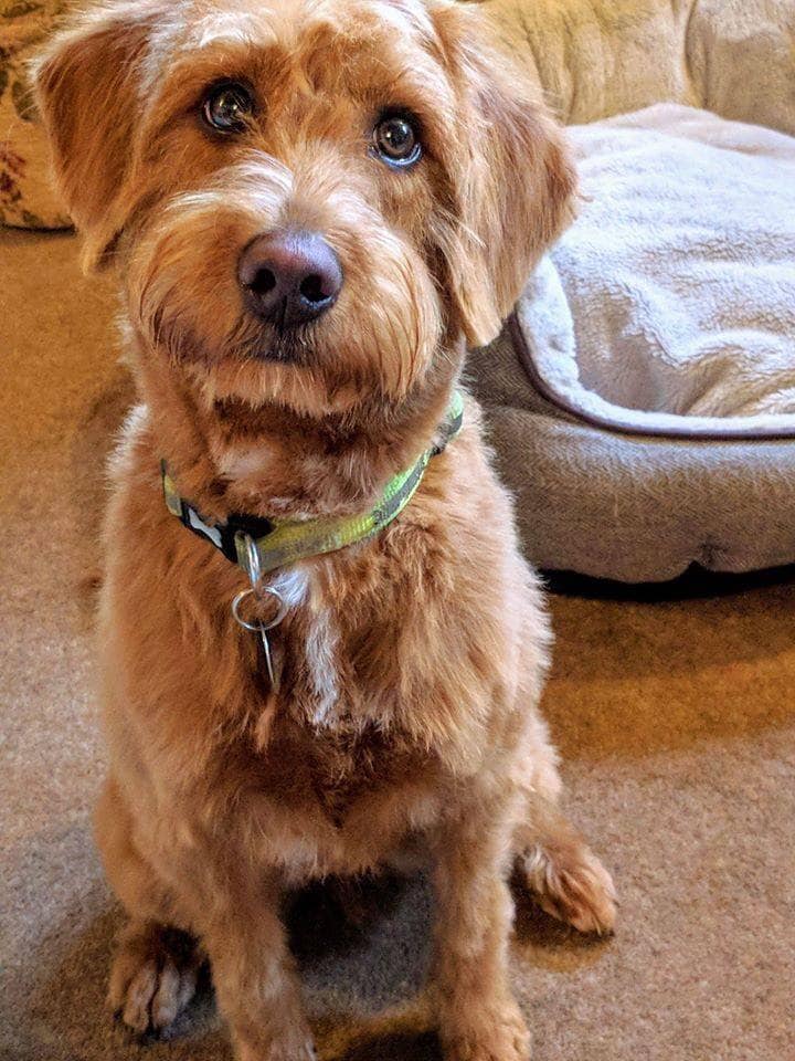 It's his 11th birthday, Can we show him some love ?😀💕🎉
