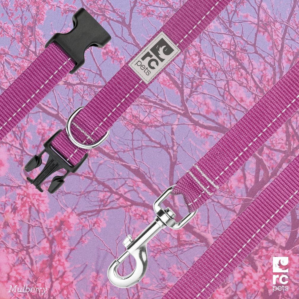 Did you know? Pet guardians have been choosing our Primary Collection for their fur buddies for over 20 years?

Shop our primary collection at l8r.it/0sqW 🛍️