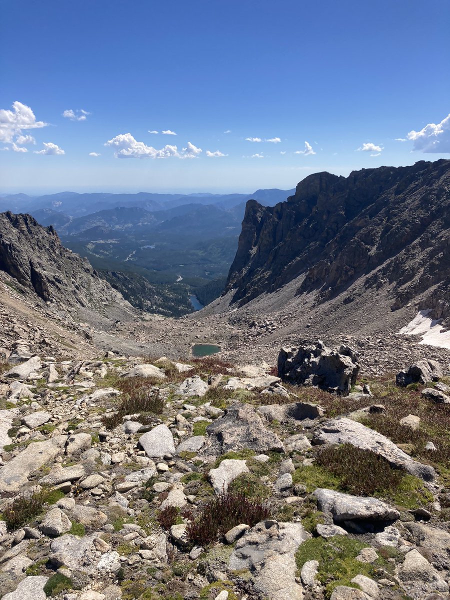 Dana Fager tweet media