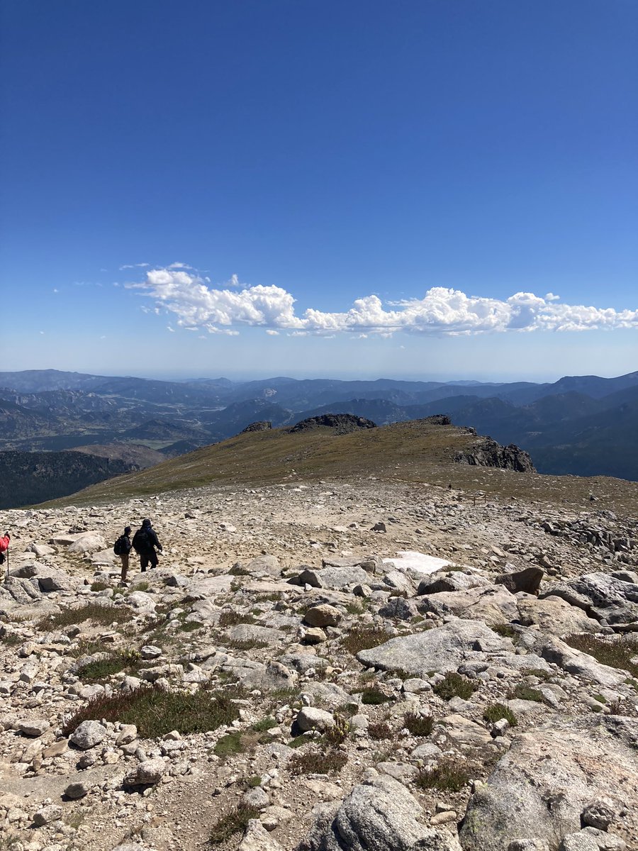 Dana Fager tweet media