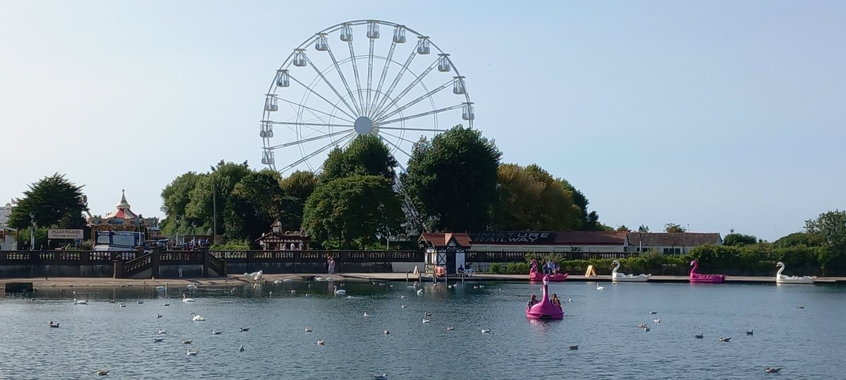 VodkaGothBitch's tweet photo. Been to southport with the inlaws
☀️🦢💛
#Sunny #OwnPics https://t.co/XdgnRDUtp2