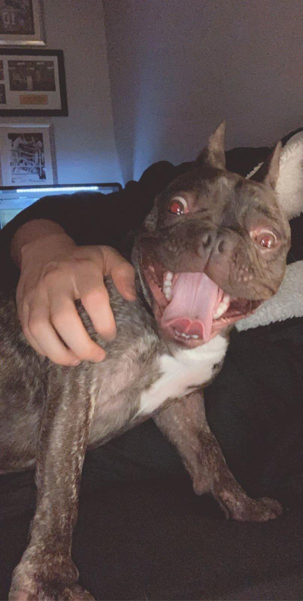 chefcreed tweet media