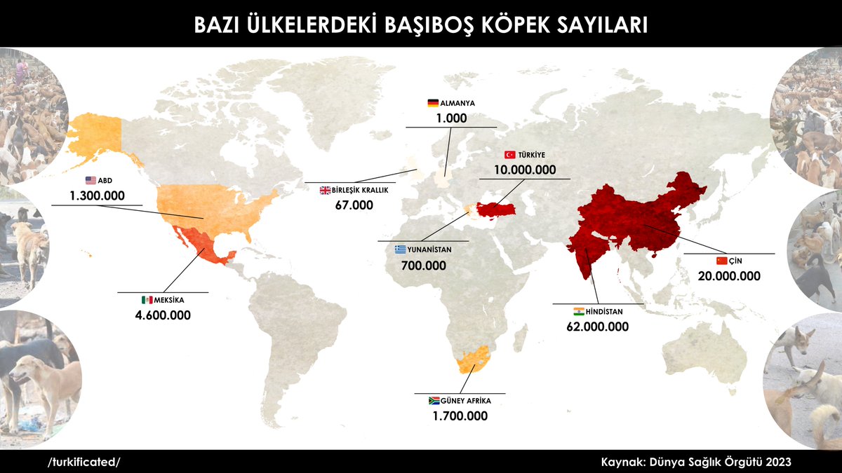 turkificated's tweet photo. Şu istatistik medeni bir ülke iddiasında olan Türkiye için utanç kaynağıdır. https://t.co/VLu3I7uUKM