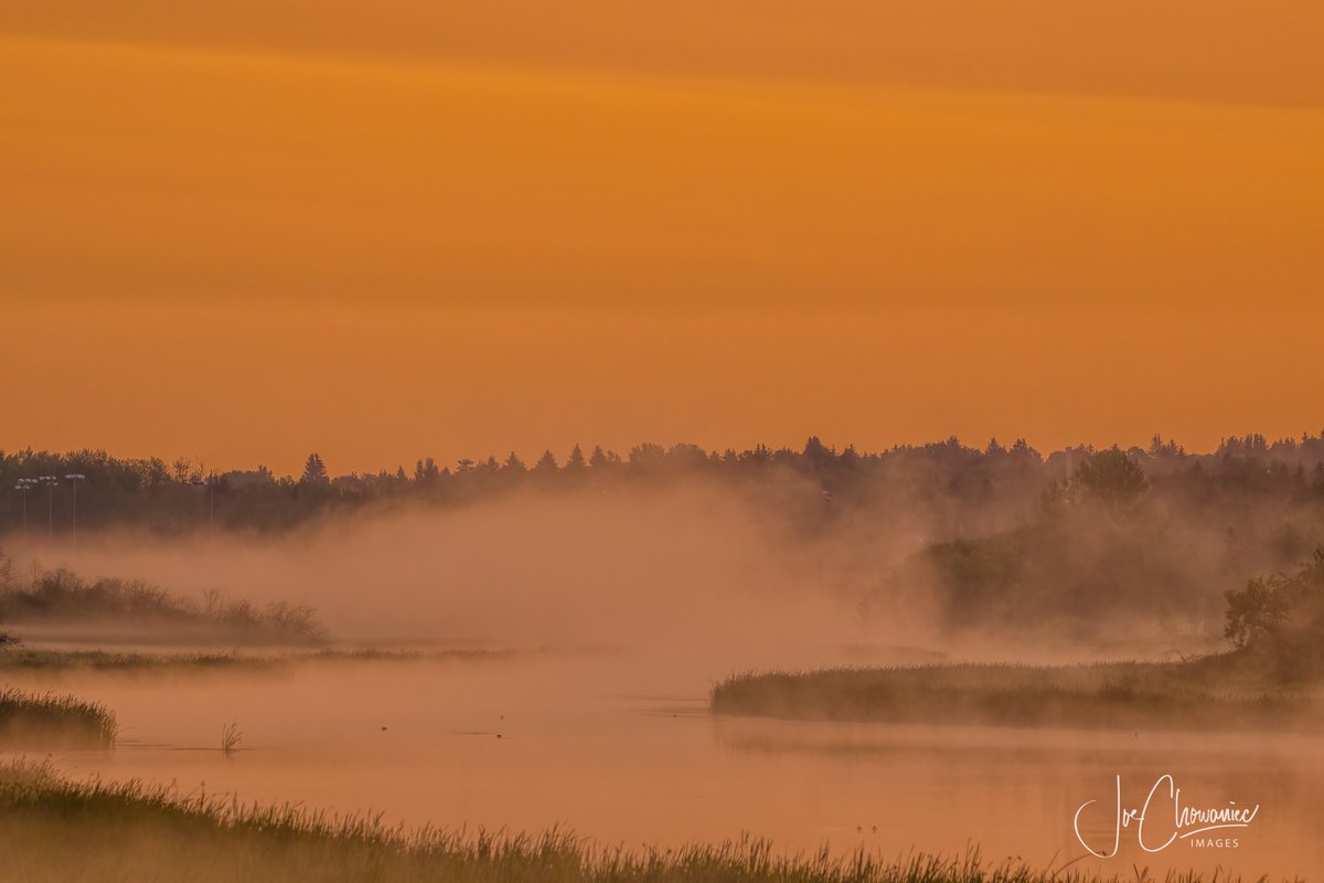 Sunrise this morning. #nature #landscape #sunrise #fog #canon #yeg #yegwx #ShareYourWeather