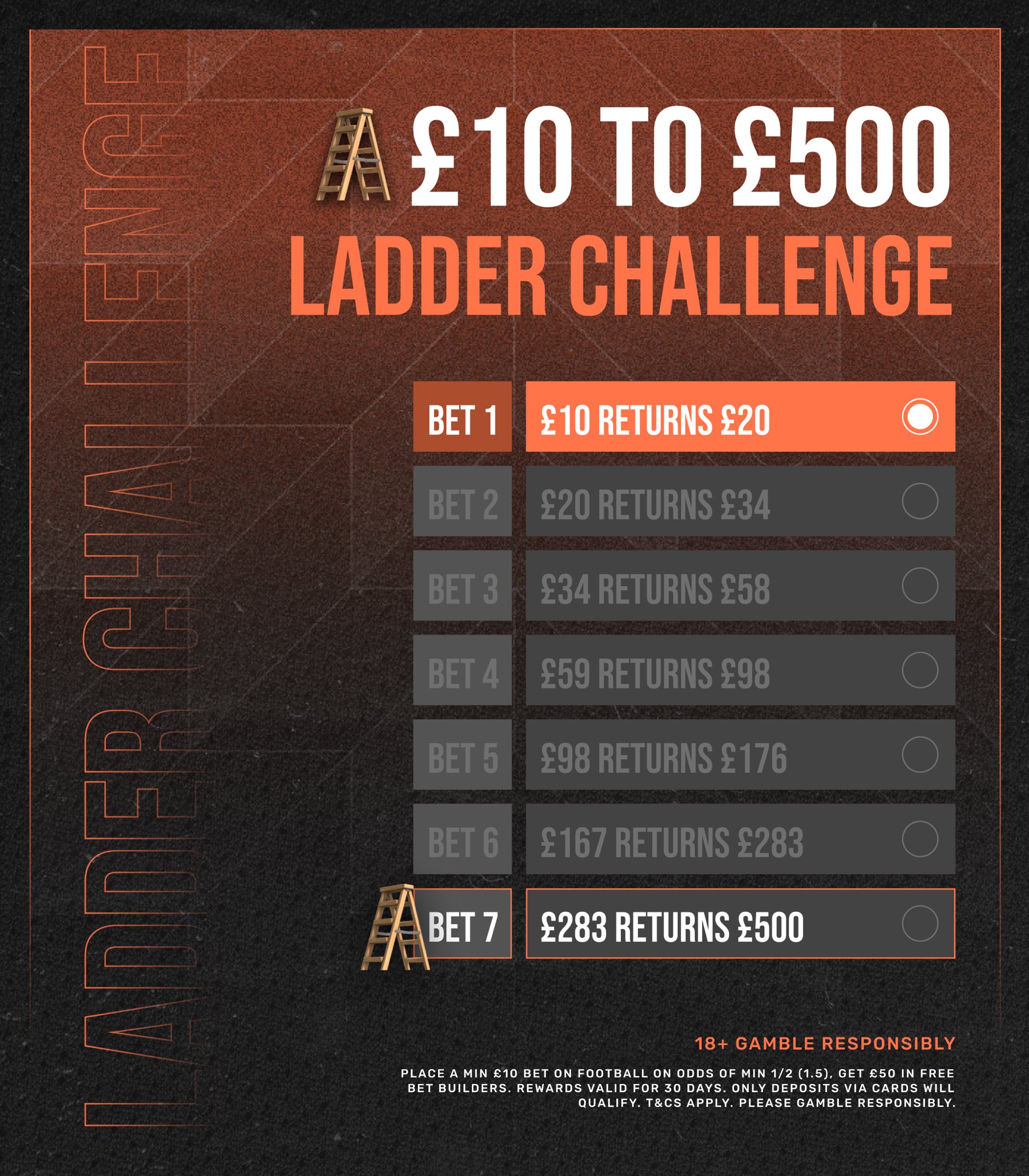 Horizontal Ladder Challenge