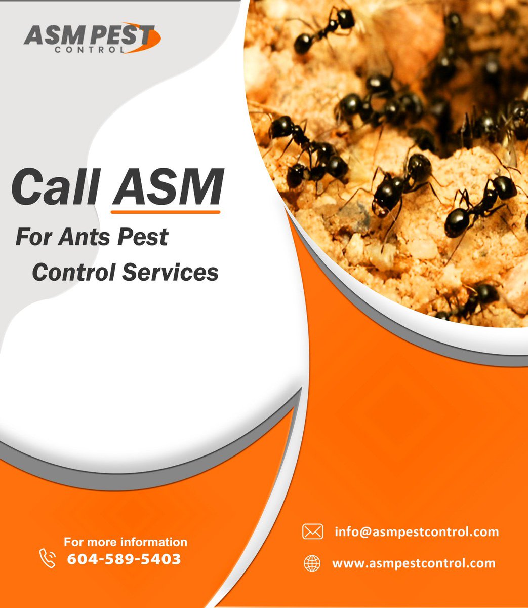 asmpestcontrol's tweet image. ASM Pest Control offers 24×7 service, so give us a call and we&apos;ll send a technician out! Let ASM Pest Control exterminate your ant problem.
📷- 604 - 589 - 5403
📷- asmpestcontrol.com/ant-control-re…
.
.
#asmpestcontrol, #pestcontrol, ASM Pest Control, #antsmarching, #Antspestcontrol,