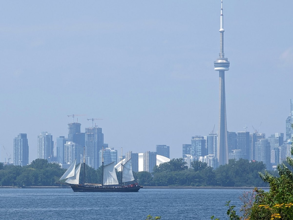 syncros's tweet image. PSA Toronto, it's 10 degrees cooler with a breeze at the lake, and there's the Kajama enjoying it too! 
#dlws