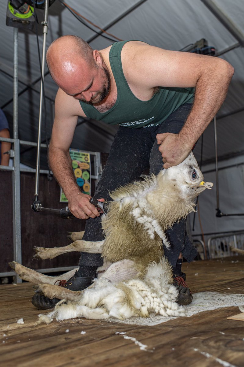 Congratulations to the Gelligaer Speed Shear Open &amp; YFC Champion Jonathan Howells. 

Jonathan was also the runner up in the Senior class. 

Well done Jonathan 👏👏👏

Photo by Glenn Whitehouse Photography