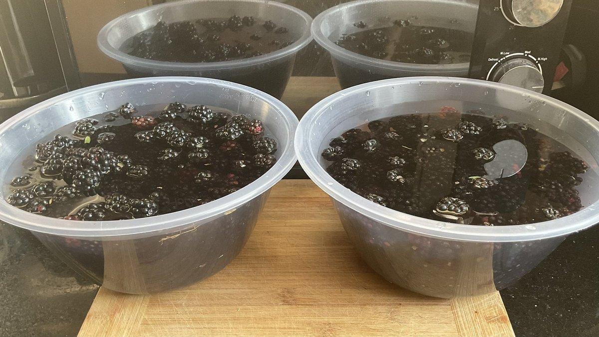 Rob_C_Allen's tweet image. Couple of sourdough #loaves this afternoon and I’ve baked @foodbodsourdou1 Marmite and cheese coils as well 🤤. #TwitterBakeAlong #Showusyourbakes Just been a foraged some blackberries too @badgersbakes