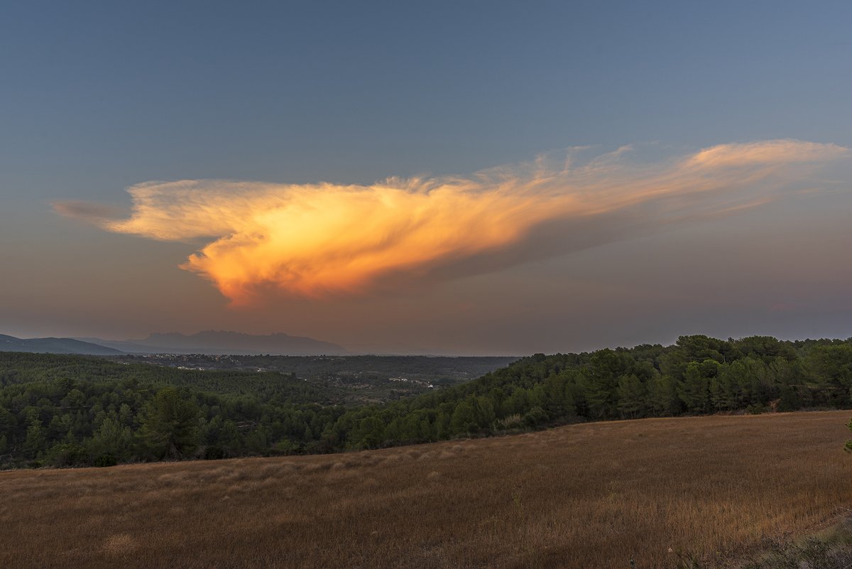 eixdiari's tweet photo. Bon dimarts!Avui ens llevem amb aquest cel impressionant que ens envia el Xavi Navas des de Sant Quintí de Mediona amb un cumulonimbus desfent-se a la posta de sol en un dia amb força calor. Ens pots enviar les teves imatges a participa@eixdiari.cat o al 672615856 https://t.co/iLTETp8U2p