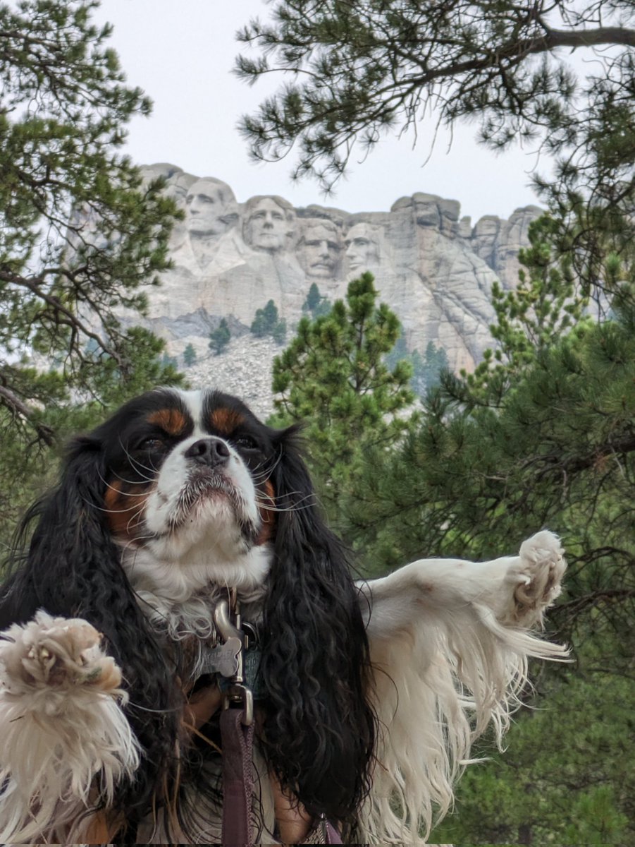 Jim Phillips tweet media