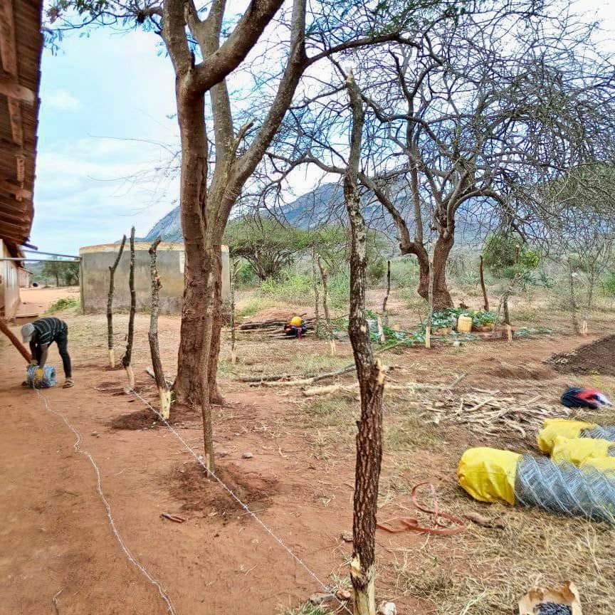 SUSOyouth's tweet photo. With the launch of the Carbon Offsetters Tree Nursery, we are witnessing the potential of #ImprovedLivelihoods #PoweredByConservation and youth #GreenSkills laying a foundation for a greener future. @Nature_Africa https://t.co/ySxfawBZvX