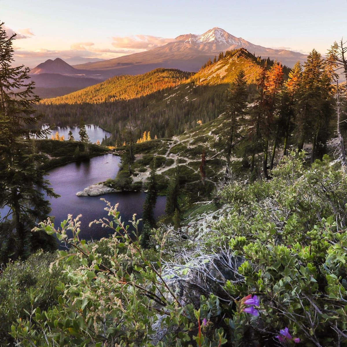 Lace up your boots and head north for hikes with views of rocky peaks, alpine lakes, and Mt. Shasta in the @ShastaCascade region of California. 🥾

📷 alexander.thegrateful on IG