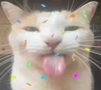 Vextty's tweet photo. 23 ! :) https://t.co/6zxzSYvvqL