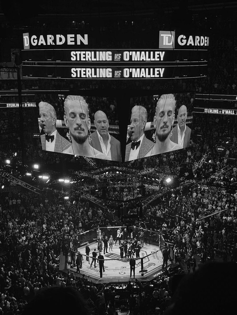 Sean O’Malley wins the UFC title at TD Garden (2023)

📸 <a href="/pauldevlin116/">Paul Devlin</a>