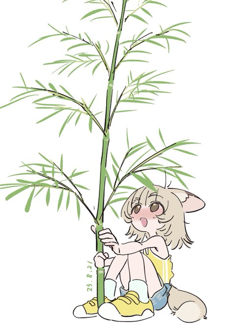 「bamboo white background」 illustration images(Latest)