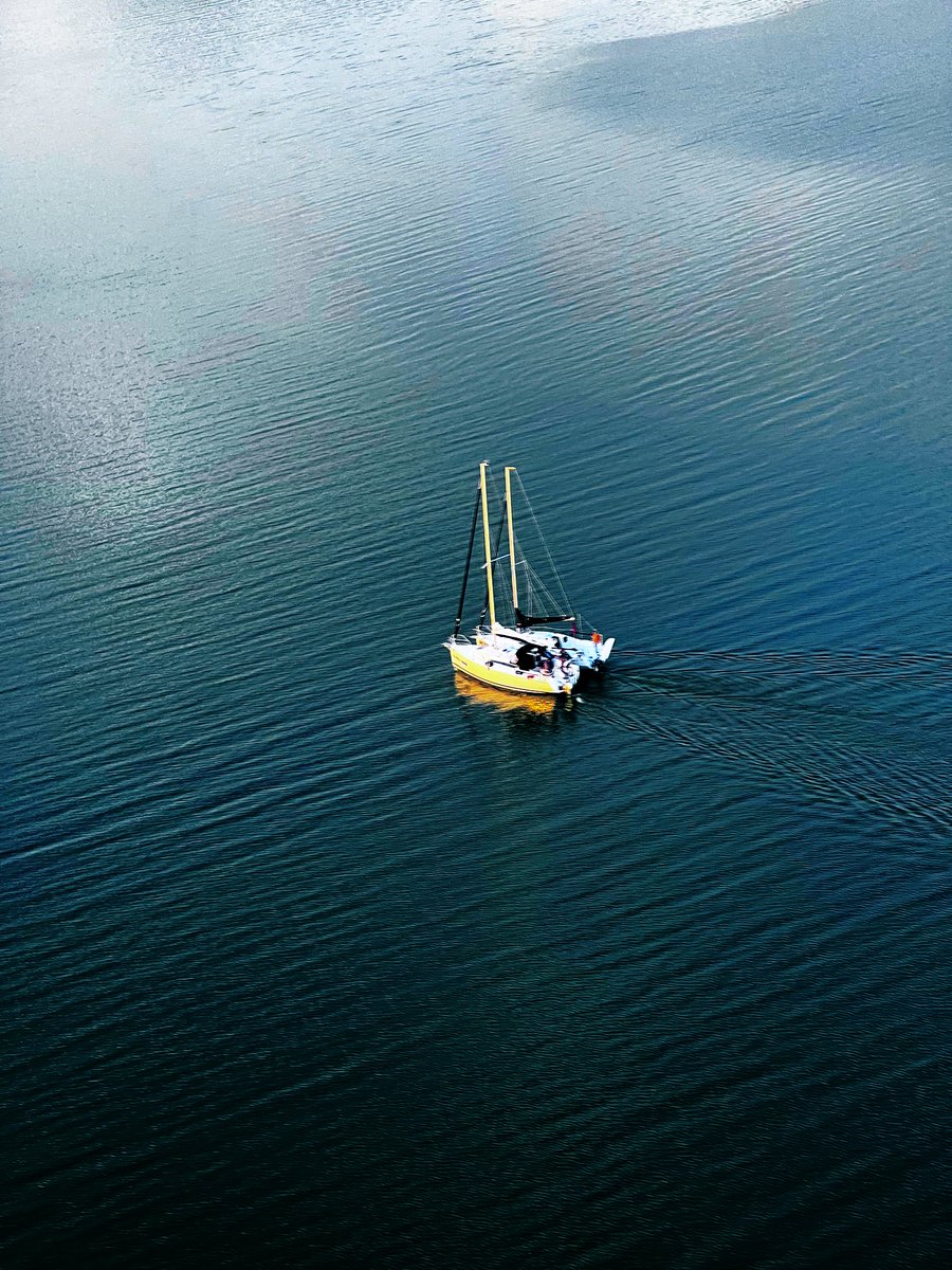 m_m_miel's tweet image. Razem można wszystko! 🫀 #freedom