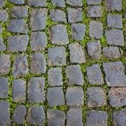 d0gspeed's tweet photo. RTRTRTRGTRTRTPRTTRGTRPTRRTRTRTPTPRTRGTRTR https://t.co/p0dqTUqycM