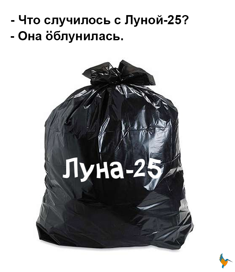 Zimorodok_mult's tweet image. 