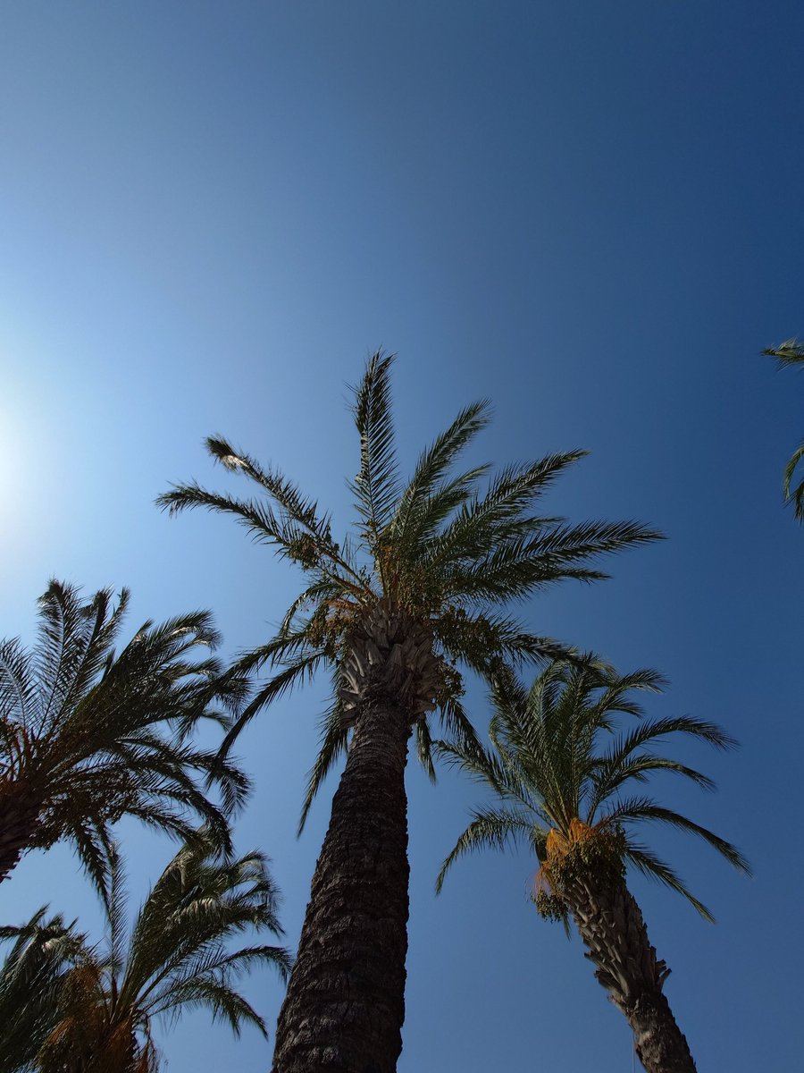 NTP_P0DCAST's tweet image. Holiday is done so we are back. Catch us live at 8pm BST 2pm CST. 
Sams got some new tech to talk about and we can hear about Joe&apos;s holiday (tech in Turkey) #newsegment 

Hope to catch some of you in the chat @Lenny_Bons