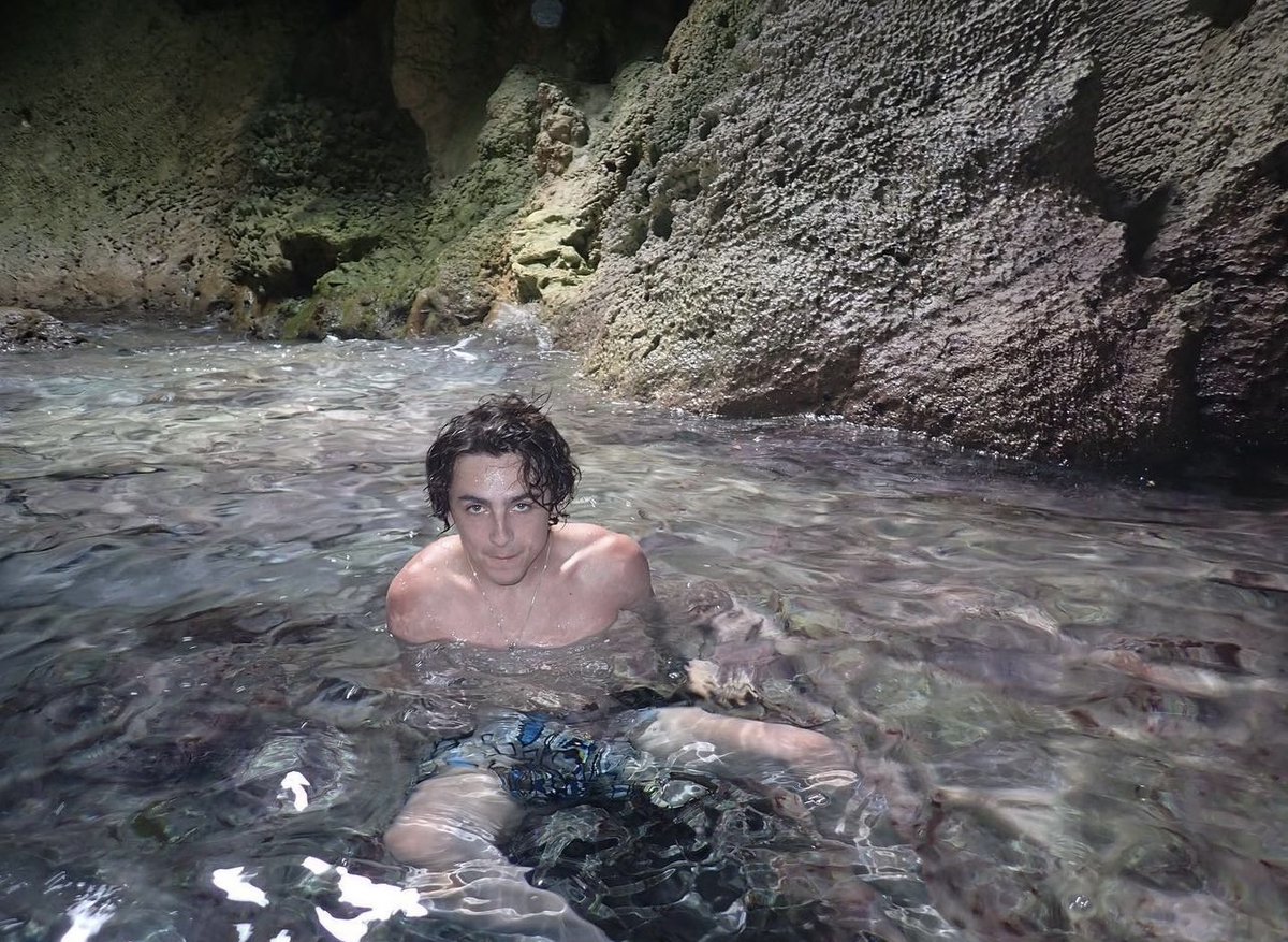 letterboxd's tweet image. new timothée chalamet instagram post just dropped