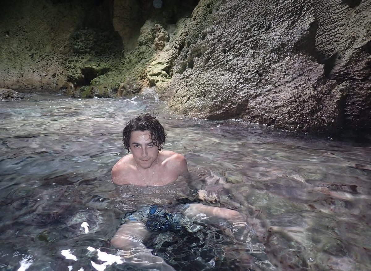 call me by your name tweet media