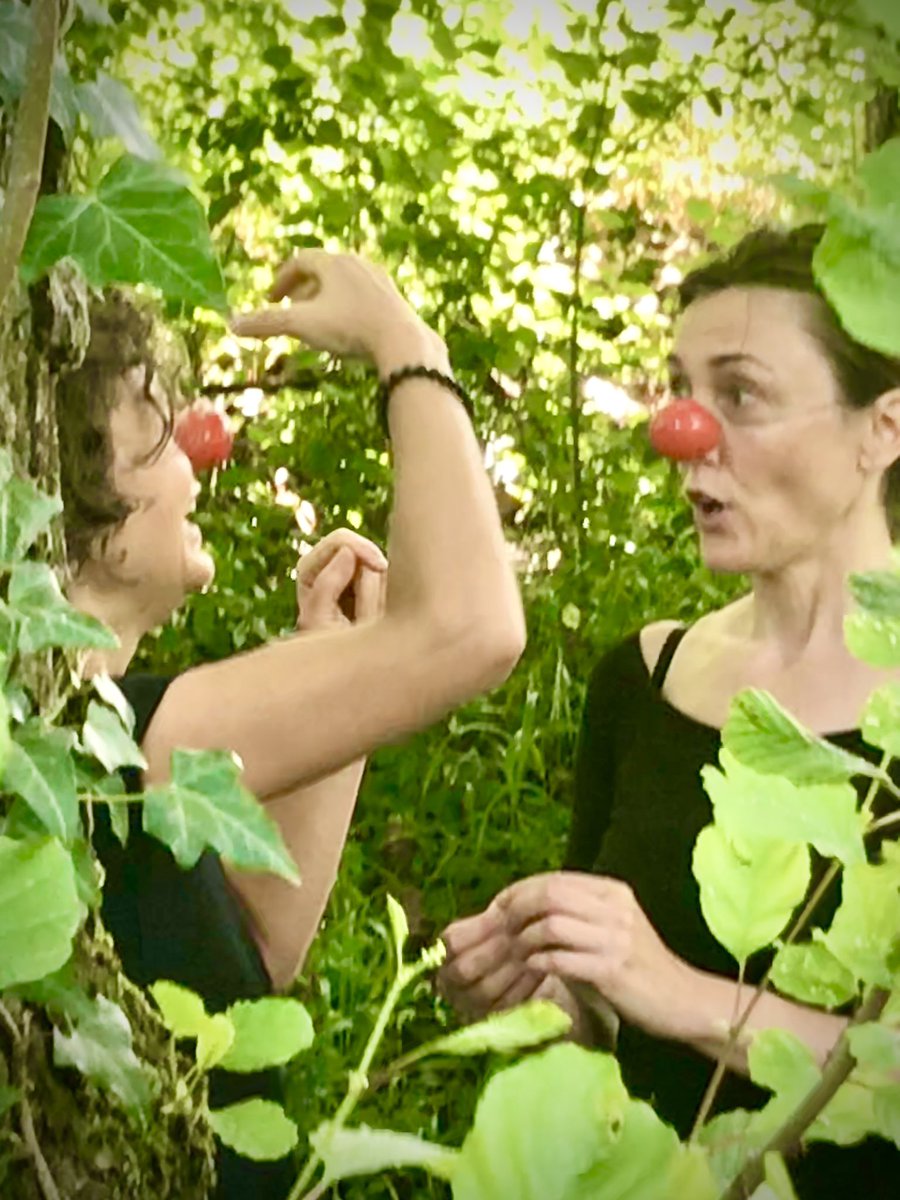 Clown workshop: PLAYING THE RED NOSE levels 1 &amp; 2 with Freya Stang takes place in the historical &amp; artistically inspirational village of Sauve, Gard 30610, France: Sat  30 Sept &amp; 7 Oct 18.30-21.00 and Sun 1st Oct&amp;8th Oct 09.30-16.30 info: contact@simsalabimproductions.com