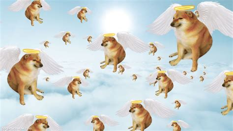 Windoge95's tweet photo. RIP Cheems🦴💚 https://t.co/im75eaqGKD