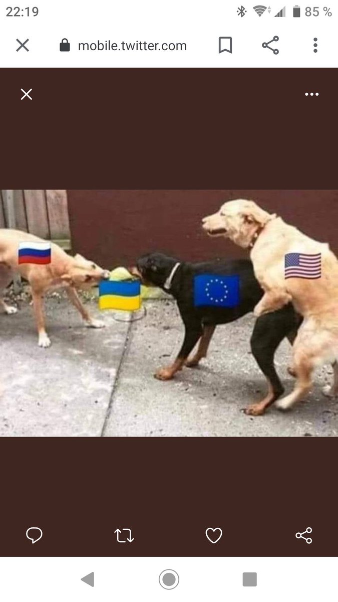 lover_revolt's tweet photo. @CyberCoffeIT @Fares90068194 @LiberteBibi Fares a raison... https://t.co/JGnLUzP64w
