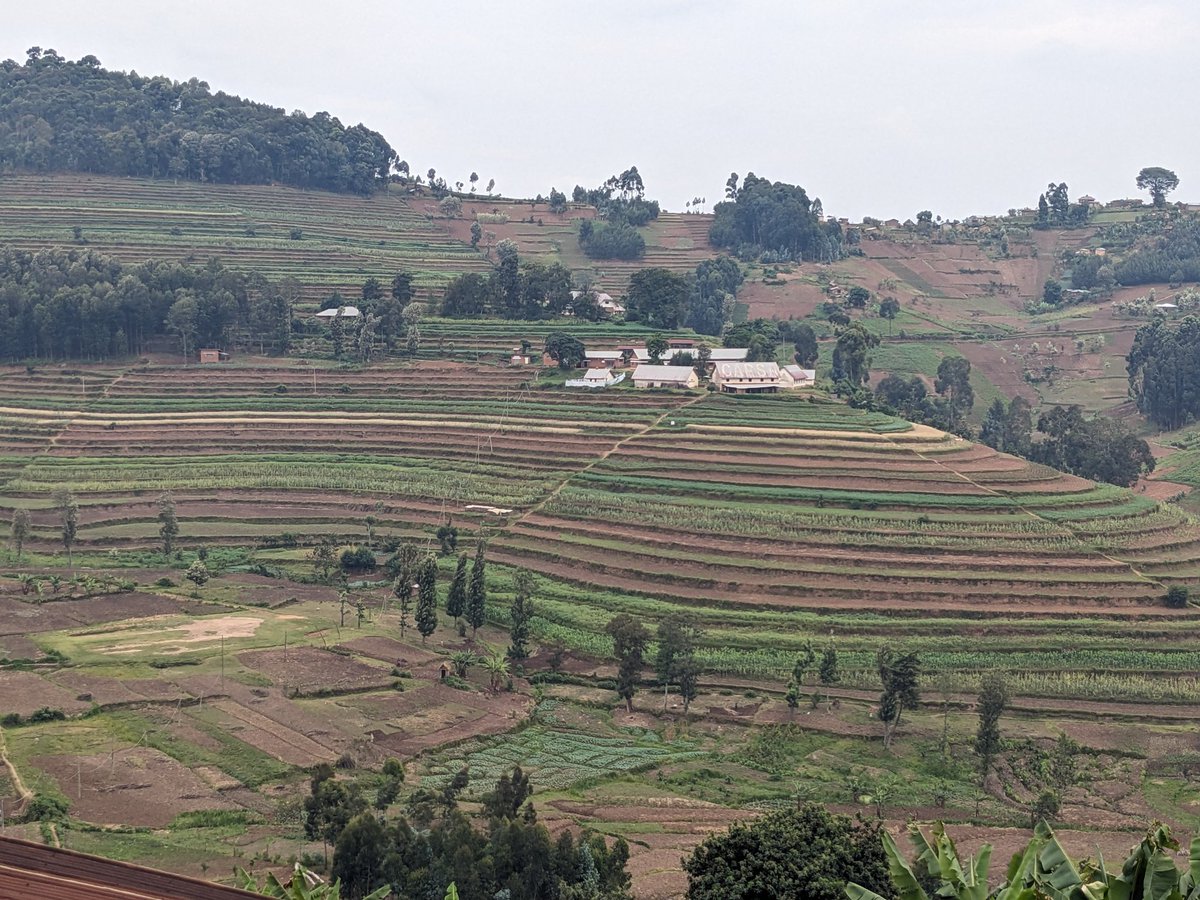 Jimliseki's tweet photo. Acting for food security and nutrition requires good agricultural practices to improve yield. It was a pleasure to be back in the field. Agri coop members are engaged in adoption of GAP.
#ActingNow #FNS #happyfarmer https://t.co/h1yOTrOoXq
