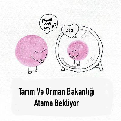 #AralıktaYumaklıMüjdesi