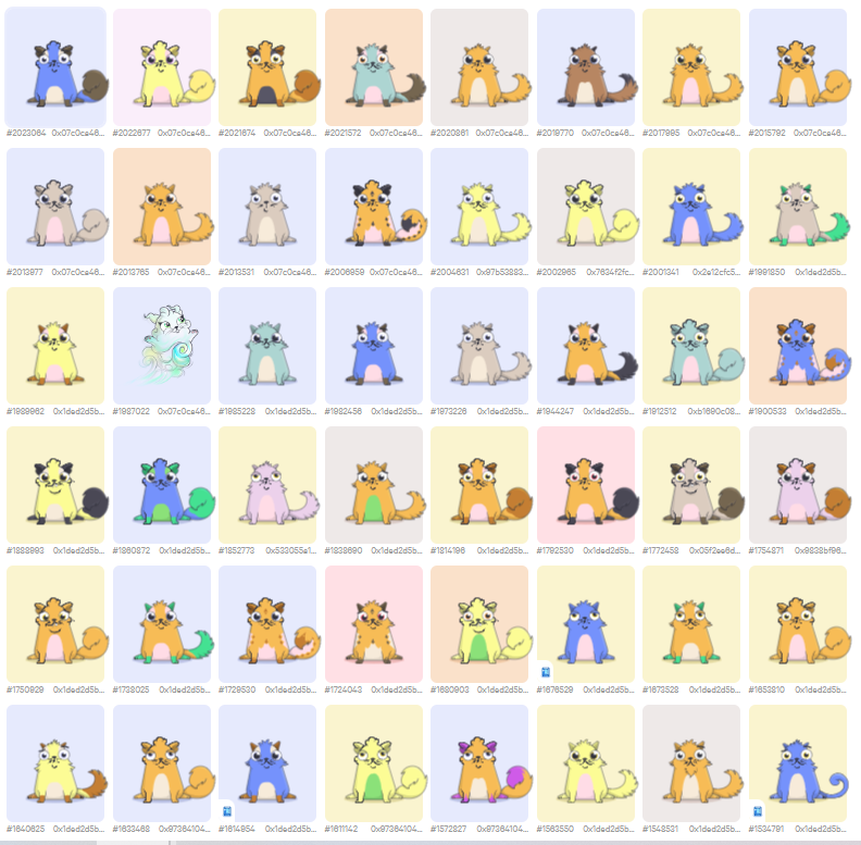 KittyCatRightMeow tweet media