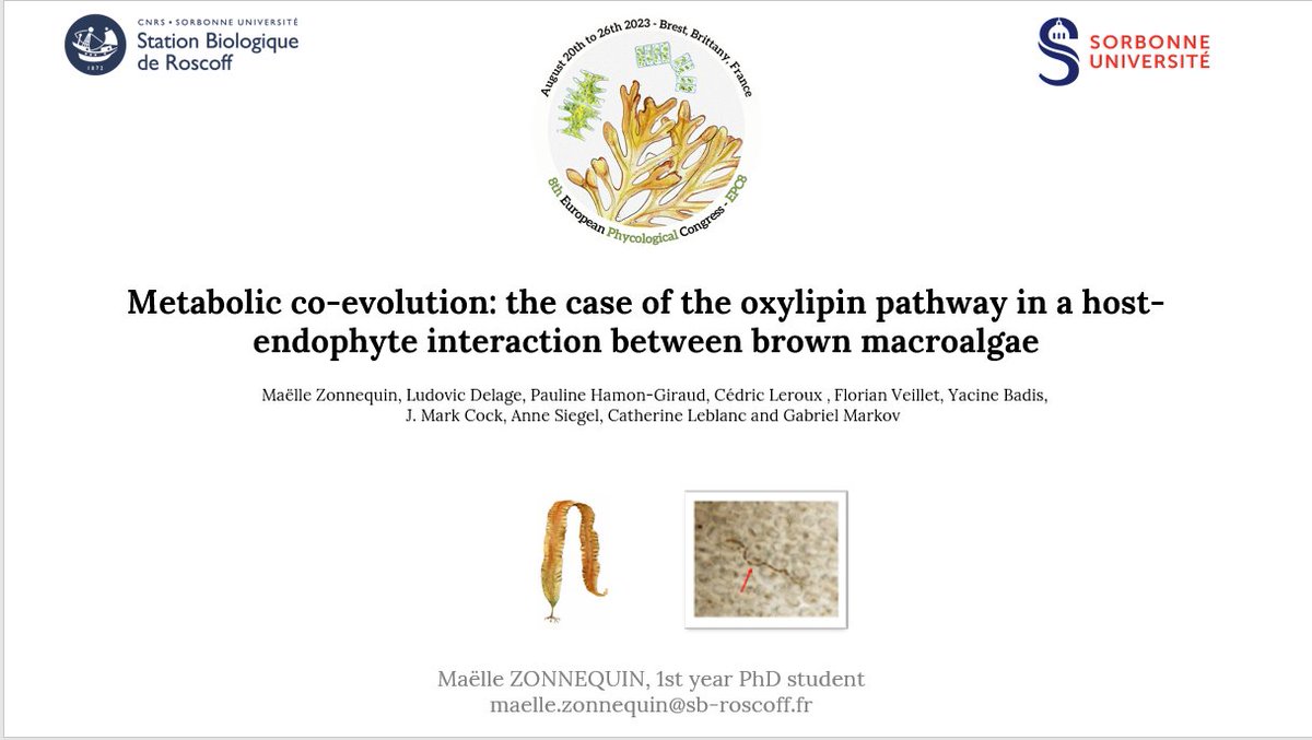 It is with great pleasure that I will present the progress of my work during the first year of my phD at the 8th European Phycological Congress. #EPC8