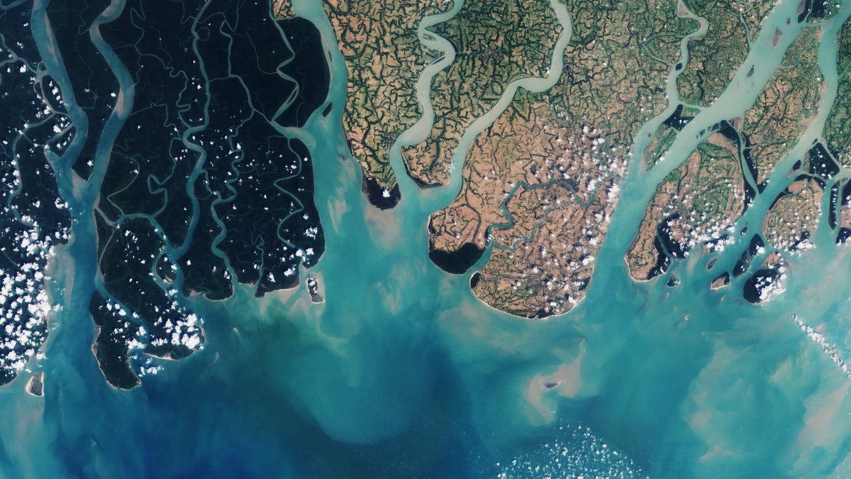 🇫🇷Photo des Sundarbans, au Bangladesh, prise par le satellite Sentinel-2A
🇺🇸Photo of Sundarbans, Bangladesh taken by the Sentinel-2A satellite

More photos here : universe-photo-archive.eu

Cropped &amp; enhanced by AI

Credits : ESA

Source : esa.int/ESA_Multimedia…