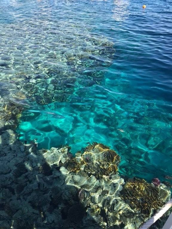 Heba Abd Elhamid 🌝 هبة tweet media