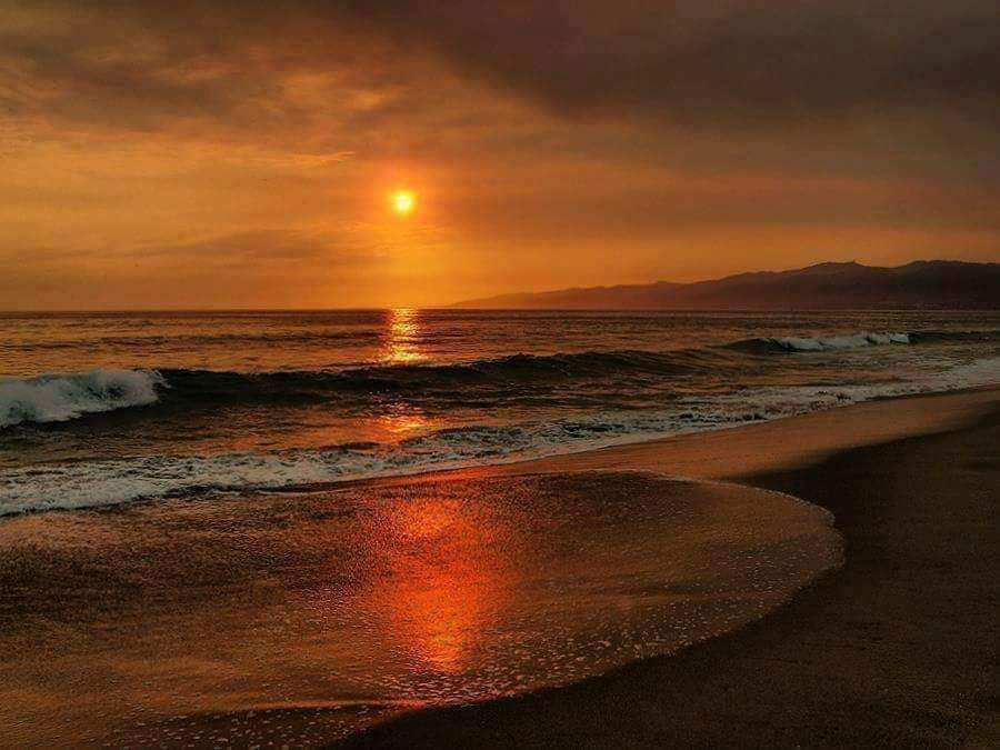 GnothiSea's tweet photo. Whatever you may have to do, watch your mind. Also you must have moments of complete inner peace and quiet, when your mind is absolutely still. If you miss it, you miss the entire thing. If you do not, the silence of the mind will dissolve and absorb all else.

Nisargadatta https://t.co/wxfsVHWiaX
