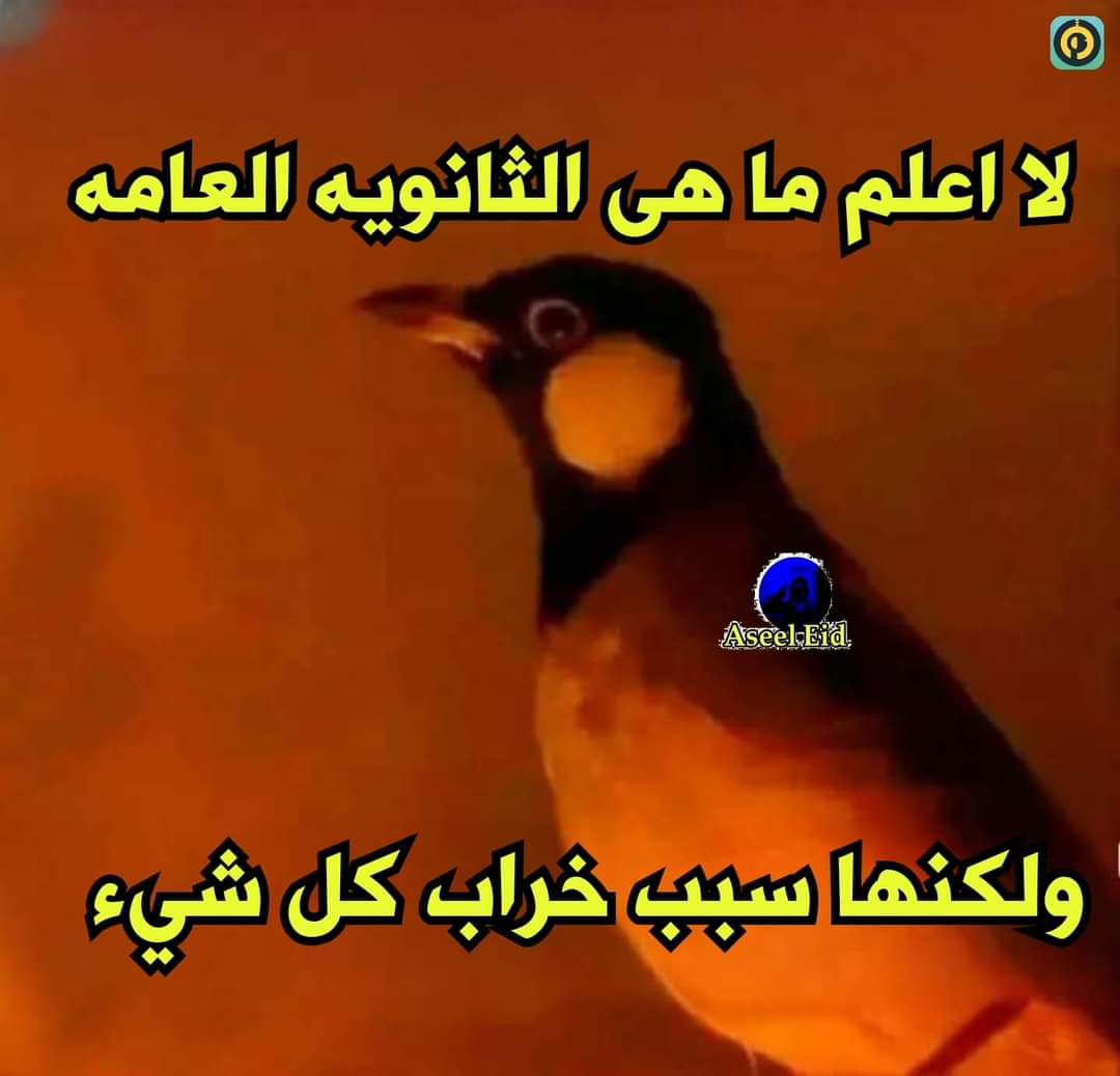 Esraa_M2005's tweet photo. بجد. https://t.co/dLV9gDSWe9