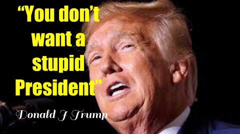 David Mitchell The Republicans are insane💔💔🇺🇦 tweet media