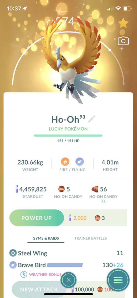 PoGoFerro's tweet photo. Not the IV’s I was looking for but I can’t get over how perfect that background is ✨ 

#PokemonGO #ShinyPokemon #LuckyPokemon https://t.co/8aHW5dMUtf