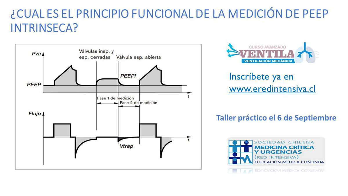 rolandomarinc's tweet image. Pequeñas preguntas que generan grandes resultados #Ventila @Red_Intensiva