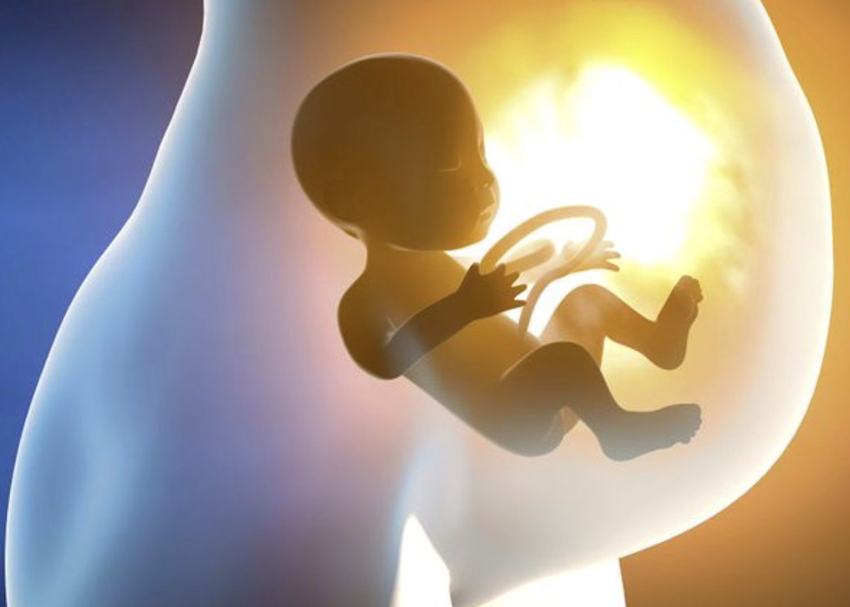 myswnews's tweet photo. What happens to children in the womb shapes their entire lives.

https://t.co/GiDb4oY4DA https://t.co/7gGe35bIfR