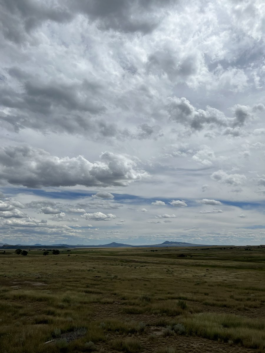 Lynn Barringer tweet media